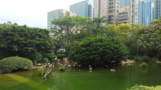 九龍公園